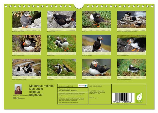 Produktbild: Macareux-moines Des petits oiseaux originaux! (Calendrier mural 2026 DIN A4 vertical), CALVENDO calendrier mensuel