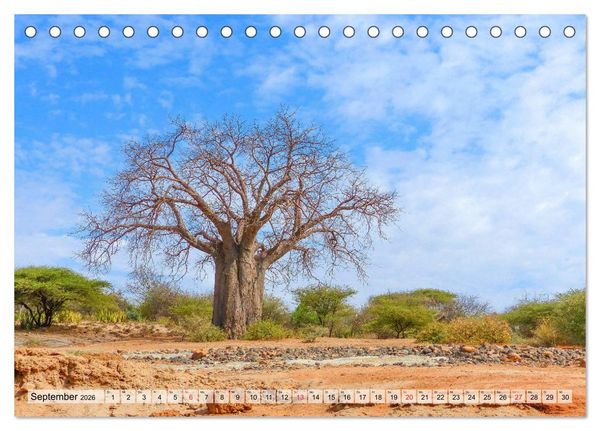Produktbild: Tansania. Impressionen aus Ostafrika (Tischkalender 2026 DIN A5 quer), CALVENDO Monatskalender
