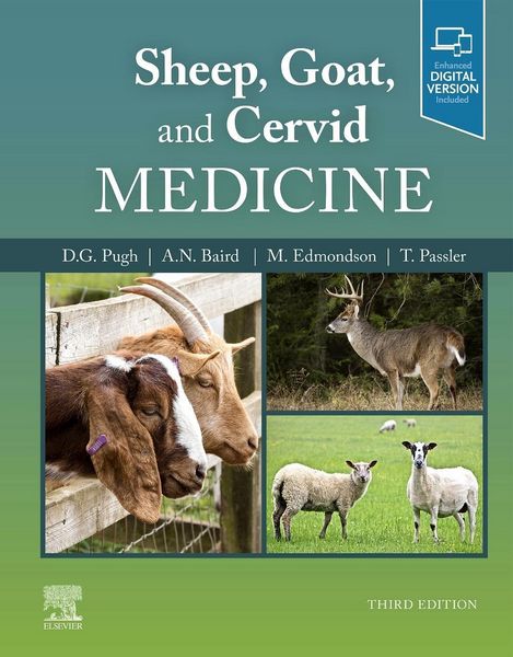 Produktbild: Sheep, Goat, and Cervid Medicine