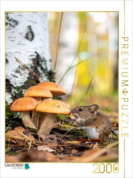 CALVENDO Puzzle Birkenpilze und Maus 2000 Teile Lege-Größe 90x67cm Foto-Puzzle für glückliche Stunden