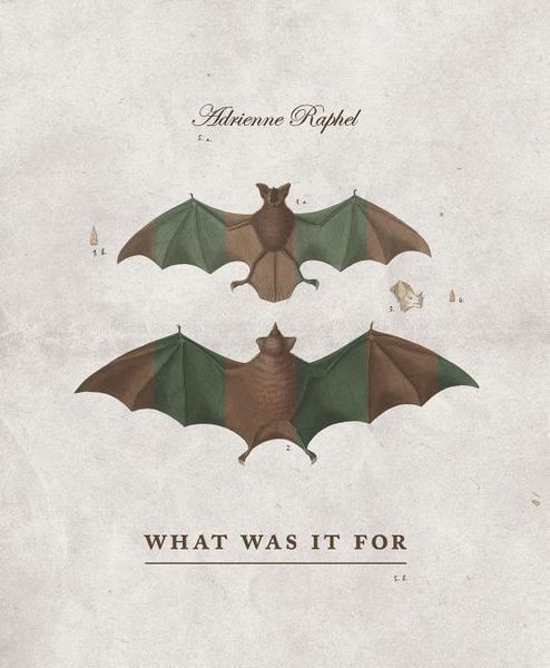 Produktbild: What Was It for