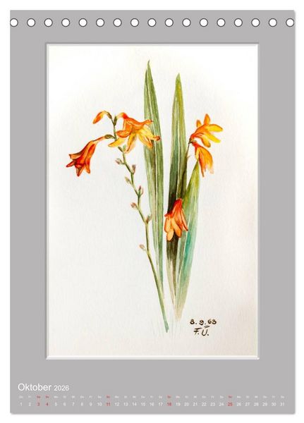 Produktbild: Alpenblumen Aquarelle aus Tirol (Tischkalender 2026 DIN A5 hoch), CALVENDO Monatskalender