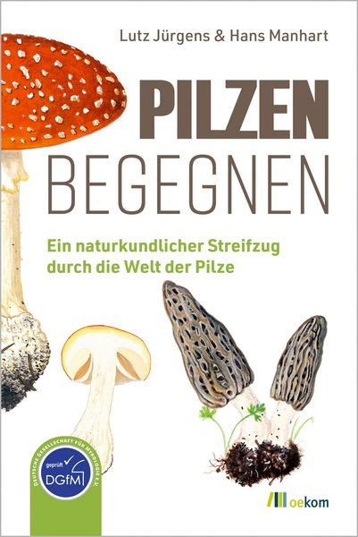Produktbild: Pilzen begegnen