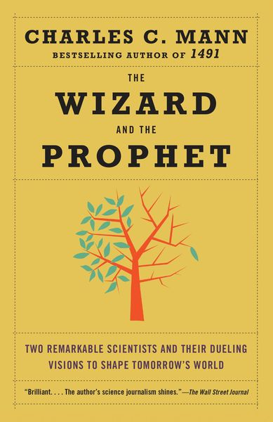 Produktbild: The Wizard and the Prophet