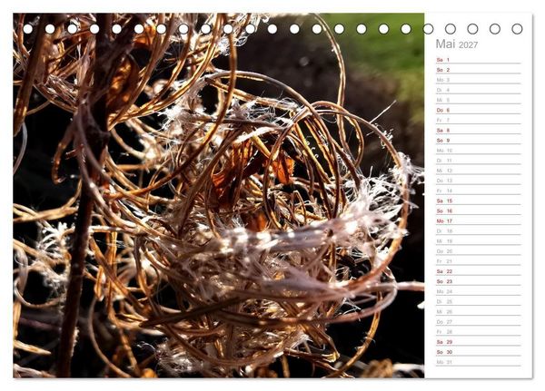 Produktbild: Abstrakte Umwelt (Tischkalender 2027 DIN A5 quer), CALVENDO Monatskalender