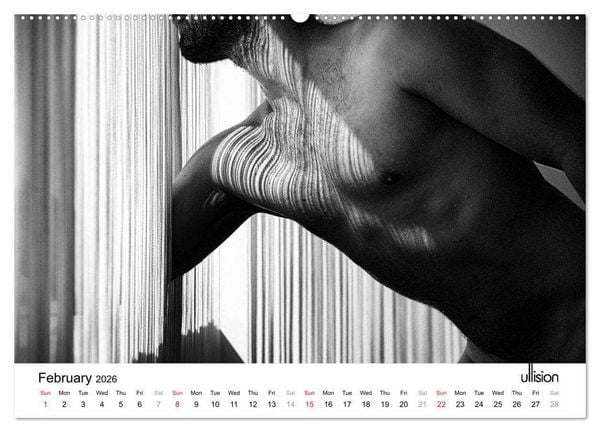 Produktbild: Male Nude Art (High Quality Premium Wall Calendar 2026 DIN A2 landscape),CALVENDO 12 Month Wall Calendar