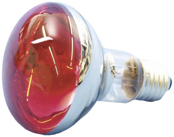 Produktbild: Eurolite 9210360U Gl&uuml;hlampe E27 Reflektor 60W Rot 1St.