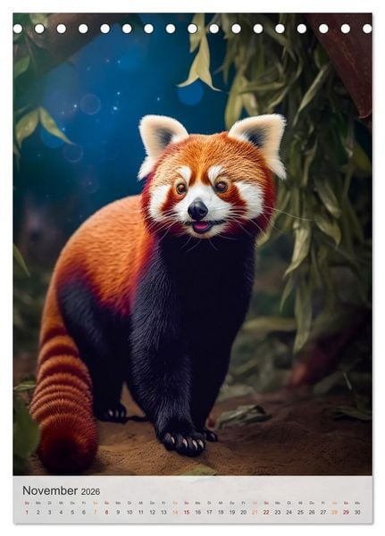 Produktbild: Lustige rote Panda (Tischkalender 2026 DIN A5 hoch), CALVENDO Monatskalender