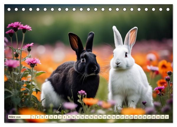 Produktbild: M&uuml;mmelm&auml;nner - Goldige Kaninchen (Tischkalender 2026 DIN A5 quer), CALVENDO Monatskalender