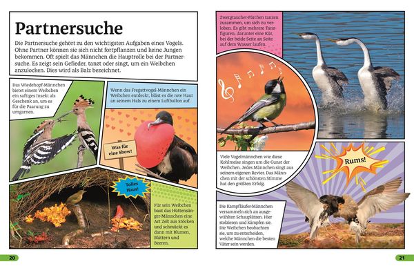 Superchecker! Vögel