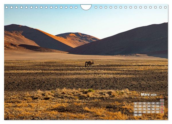 Produktbild: Namibia, Sch&ouml;nheit und Vielfalt (Wandkalender 2026 DIN A4 quer), CALVENDO Monatskalender