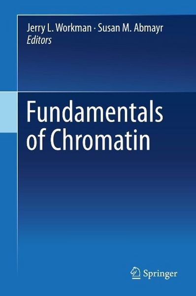 Produktbild: Fundamentals of Chromatin