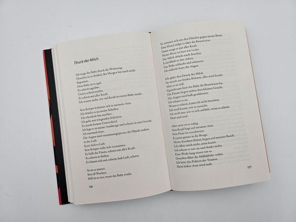 Produktbild: Einen Vulkan besteigen