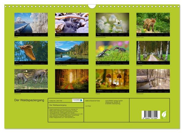 Produktbild: Der Waldspaziergang (Wandkalender 2026 DIN A3 quer), CALVENDO Monatskalender