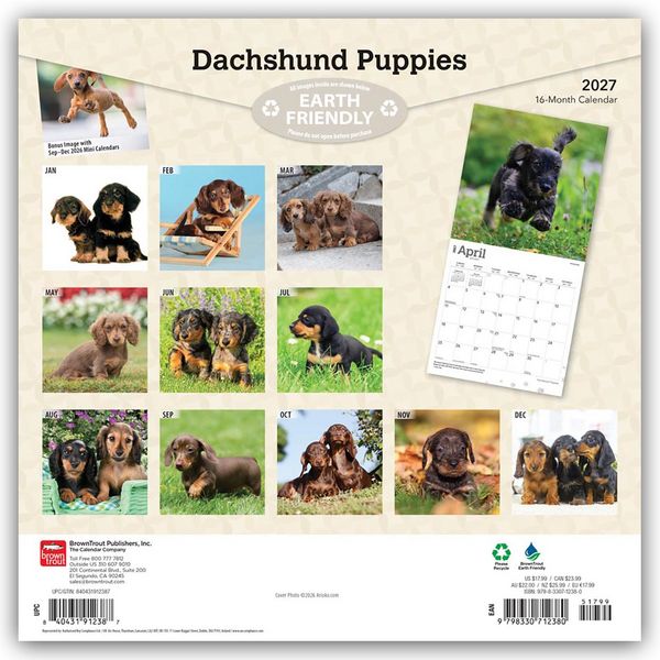 Produktbild: Dachshund Puppies &ndash; Dackel Welpen 2027 &ndash; 16-Monatskalender