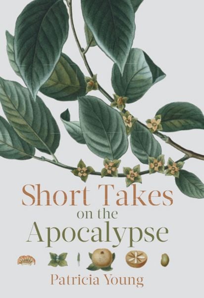 Produktbild: Short Takes on the Apocalypse