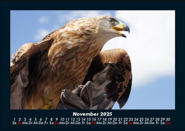 Produktbild: Adler 2025 Fotokalender DIN A5