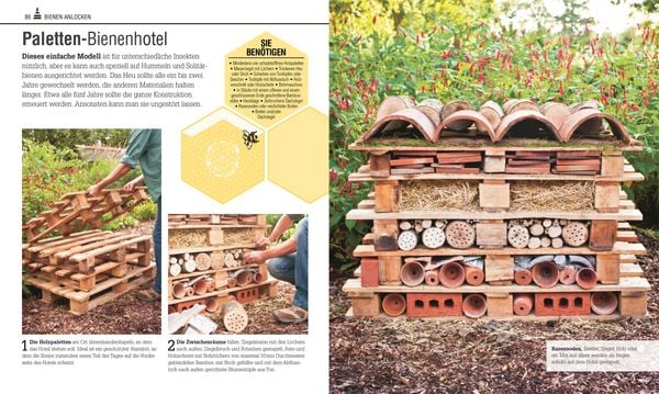 Produktbild: Das Bienen Buch