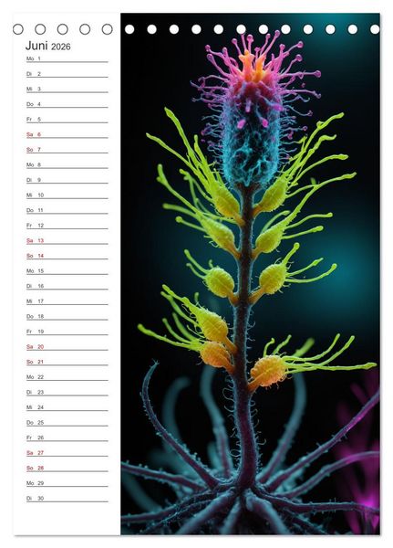 Produktbild: Leuchtende Mikroflora (Tischkalender 2026 DIN A5 hoch), CALVENDO Monatskalender