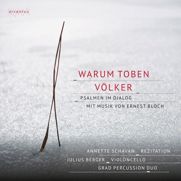 Produktbild: Schavan/Berger/Pushkarev/Beliaev: Warum toben V&ouml;lker-Psalmen