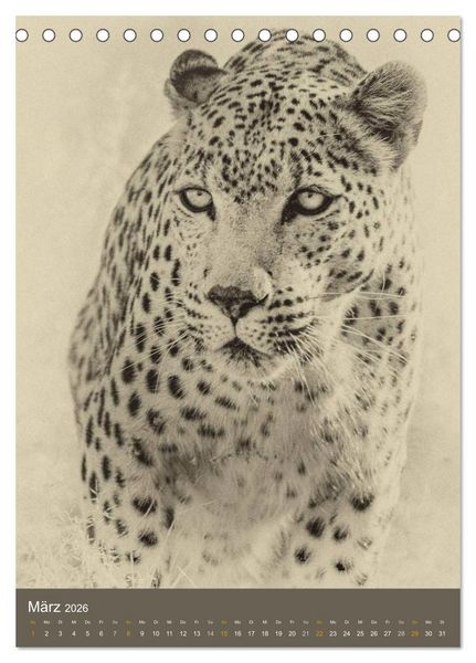 Produktbild: Afrikas Tierwelt - Sepia-Art (Tischkalender 2026 DIN A5 hoch), CALVENDO Monatskalender