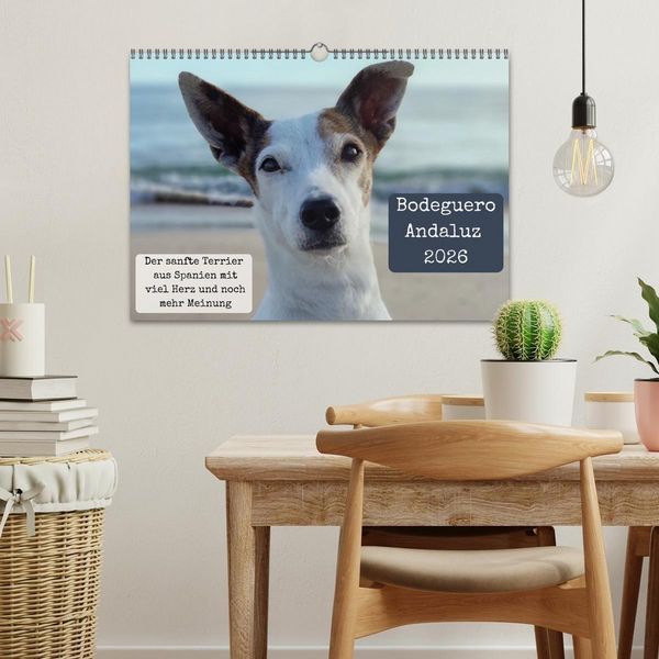 Produktbild: Ratonero Bodeguero Andaluz (Wandkalender 2026 DIN A3 quer), CALVENDO Monatskalender