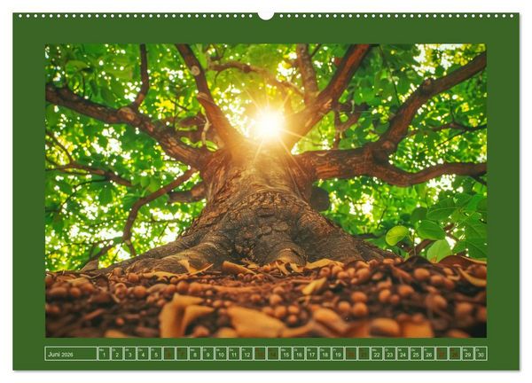 Produktbild: Die Zeitreisenden des Waldes (Wandkalender 2026 DIN A2 quer), CALVENDO Monatskalender