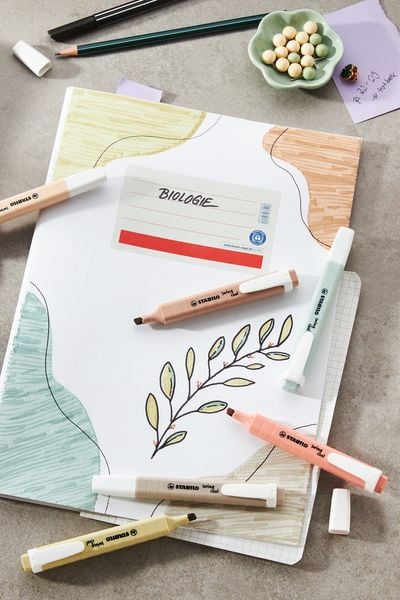 Produktbild: STABILO Textmarker swing cool NatureCOLORS
