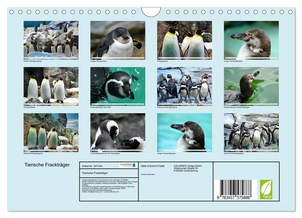 Produktbild: Tierische Fracktr&auml;ger (Wandkalender 2026 DIN A4 quer), CALVENDO Monatskalender