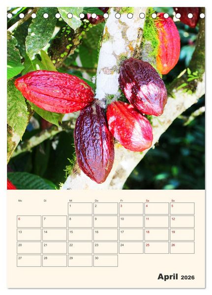 Produktbild: Ecuador - Terminplaner (Tischkalender 2026 DIN A5 hoch), CALVENDO Monatskalender