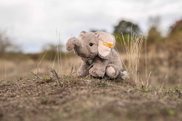 Produktbild: Steiff 065163 - Edie Elefant, sitzend, hellgrau, Pl&uuml;sch, 24 cm