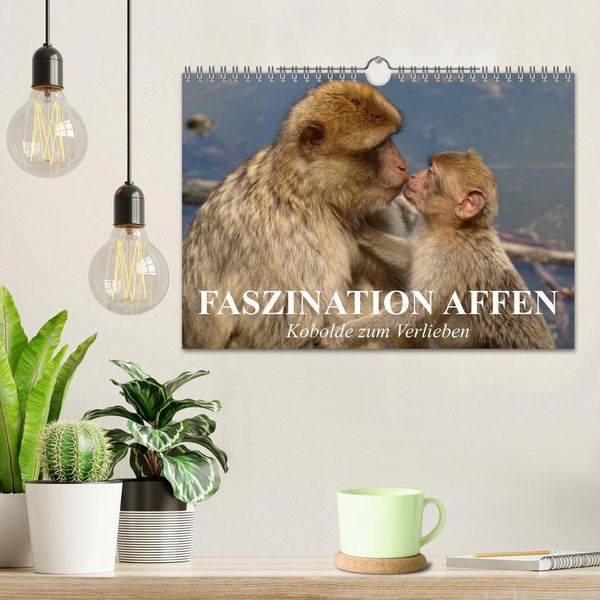 Produktbild: Faszination Affen. Kobolde zum Verlieben (Wandkalender 2026 DIN A4 quer), CALVENDO Monatskalender