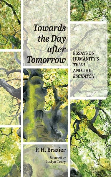 Produktbild: Towards the Day after Tomorrow