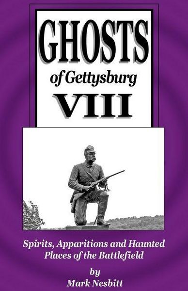 Produktbild: Ghosts of Gettysburg VIII