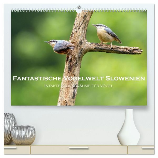 Produktbild: Fantastische Vogelwelt Slowenien (hochwertiger Premium Wandkalender 2026 DIN A2 quer), Kunstdruck in Hochglanz