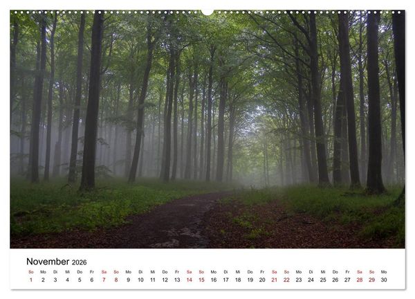 Produktbild: Traumhaftes R&uuml;gen (hochwertiger Premium Wandkalender 2026 DIN A2 quer), Kunstdruck in Hochglanz