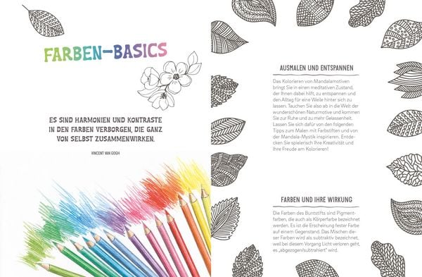 Produktbild: Colorful Mandala &ndash; Botanischer Garten