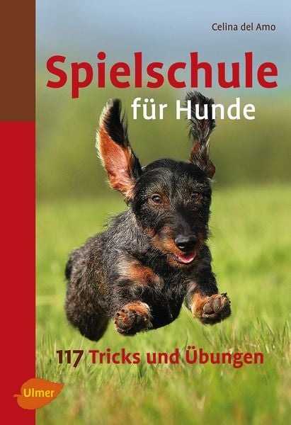 Produktbild: Spielschule f&uuml;r Hunde