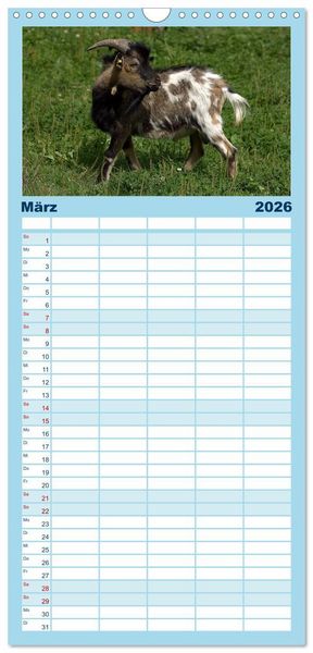 Produktbild: Familienplaner 2026 - Zwergziegen mit 5 Spalten (Wandkalender, 21 x 45 cm) CALVENDO