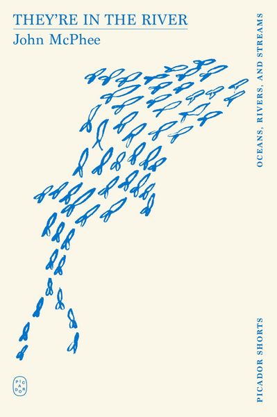 Produktbild: They're in the River (Picador Shorts)