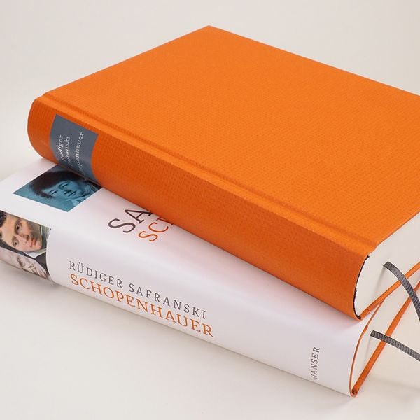 Produktbild: Schopenhauer und Die wilden Jahre der Philosophie