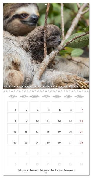 Produktbild: Costa Rica wild and peaceful (Wall Calendar 2027 12 &times; 12 Inch) CALVENDO 12 Month Wall Calendar