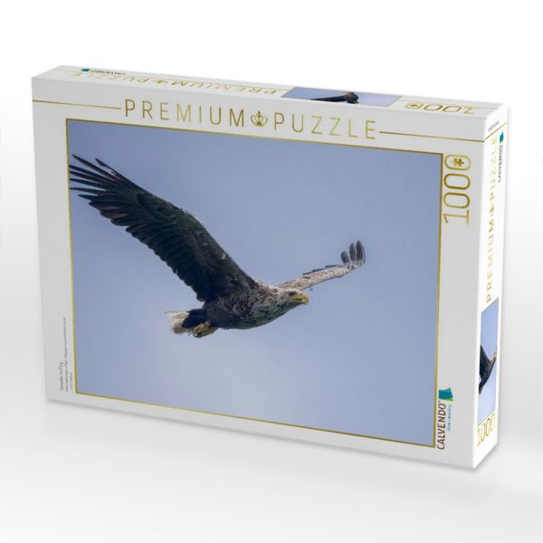 Produktbild: CALVENDO Puzzle Seeadler im Flug | 1000 Teile Lege-Gr&ouml;&szlig;e 64x48cm Foto-Puzzle f&uuml;r gl&uuml;ckliche Stunden