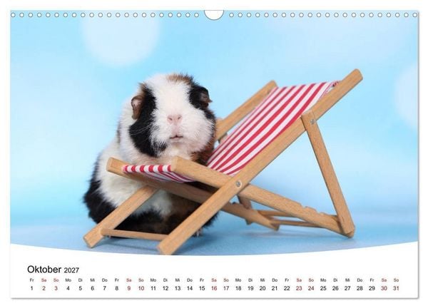 Produktbild: Niedliche Meerschweinchen (Wandkalender 2027 DIN A3 quer), CALVENDO Monatskalender