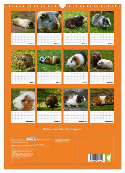 Produktbild: Meerschweinchen Terminplaner (Wandkalender 2026 DIN A3 hoch), CALVENDO Monatskalender