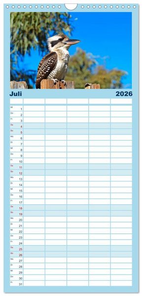 Produktbild: Familienplaner 2026 - Der Kookaburra - Im australischen Busch mit dem lachenden Hans mit 5 Spalten (Wandkalender, 21 x 45 cm) CALVENDO