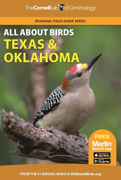 Produktbild: All about Birds Texas and Oklahoma