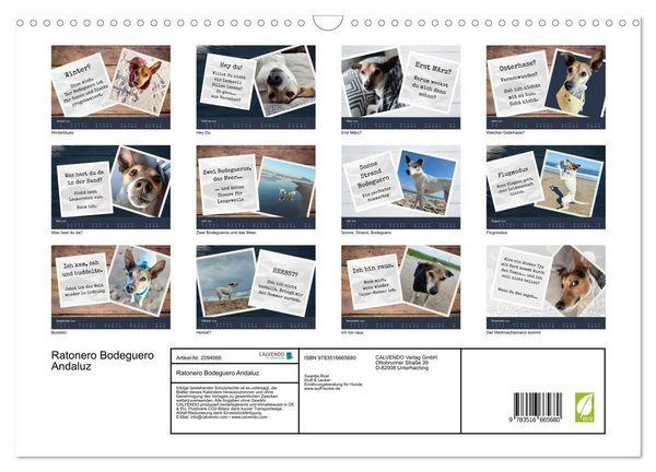 Produktbild: Ratonero Bodeguero Andaluz (Wandkalender 2026 DIN A3 quer), CALVENDO Monatskalender