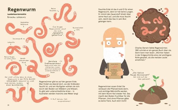 Produktbild: Das Lexikon einzigartiger Tiere
