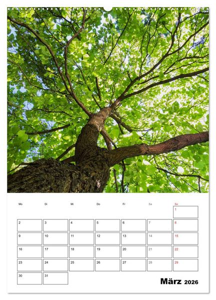 Produktbild: Farben der Natur (hochwertiger Premium Wandkalender 2026 DIN A2 hoch), Kunstdruck in Hochglanz